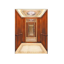 Lift 4 Menschen benutzen Aufzüge 55ELEVator Passagier Luxus Villa Heißverkauf China Residential Outdoor Marmor Steel PVC Edelstahlmonarch